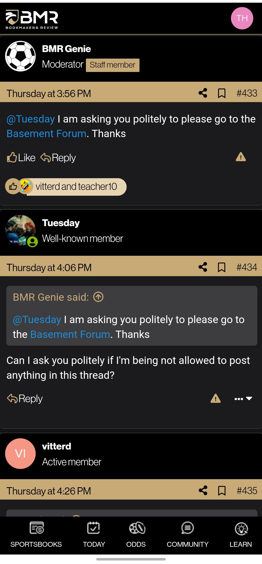 BMR poster protection program tard and cheerleader10.jpg