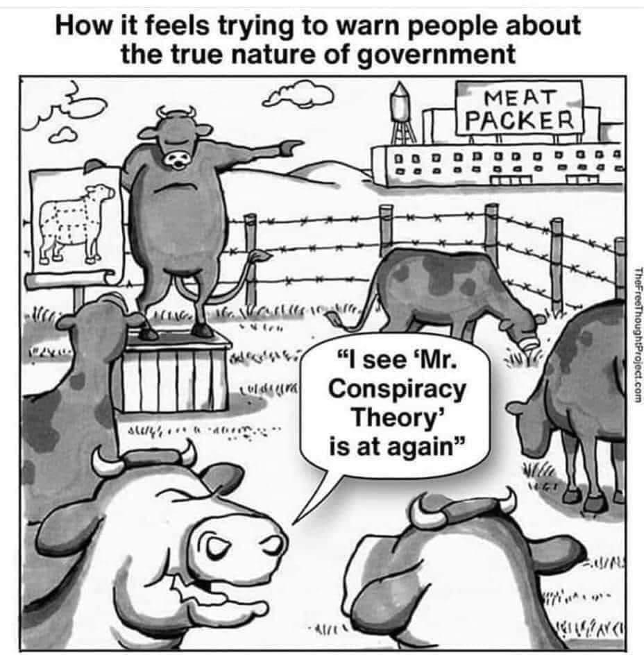 cow conspiracy.jpg