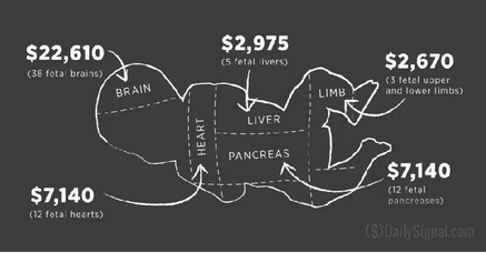 Screen Shot 2022-05-03 at 11.23.57 AM.png