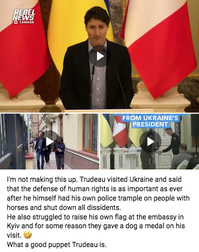 Screen Shot 2022-05-09 at 11.36.16 AM.png