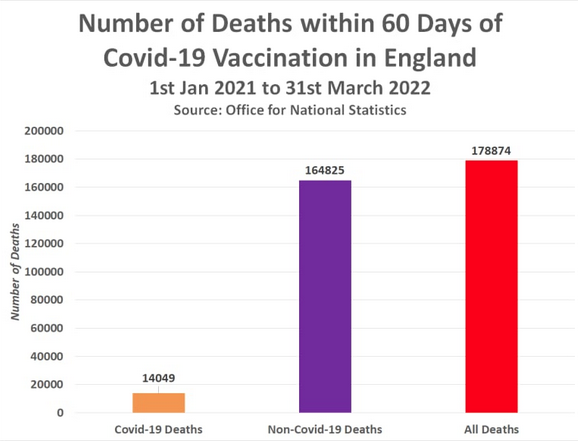 Screen Shot 2022-05-20 at 5.48.56 AM.png