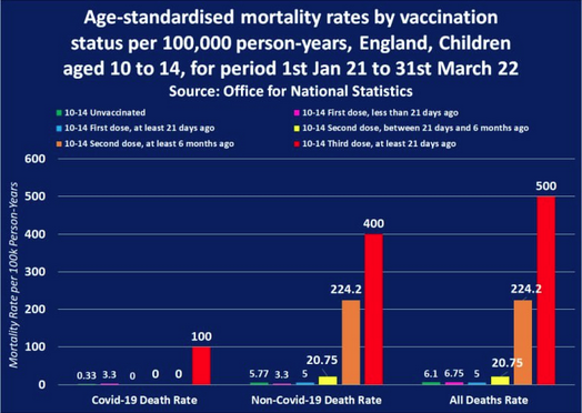 Screen Shot 2022-05-23 at 10.11.52 AM.png