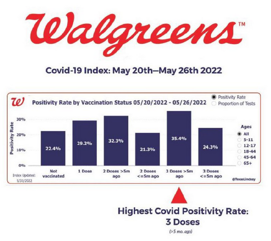 Screen Shot 2022-05-31 at 2.00.15 PM.png