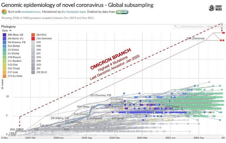 Screen Shot 2022-06-14 at 6.25.18 AM.png