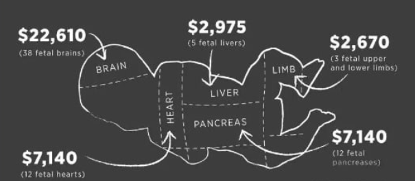 Screen Shot 2022-06-27 at 5.19.36 PM.png