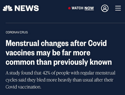 Screen Shot 2022-07-16 at 10.00.44 AM.png