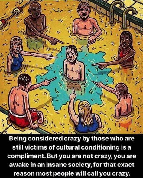 Screen Shot 2022-07-20 at 7.31.27 AM.png