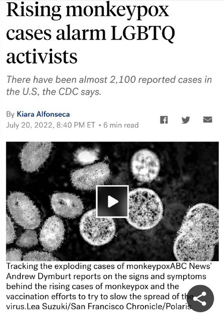 Screen Shot 2022-07-21 at 8.22.37 AM.png