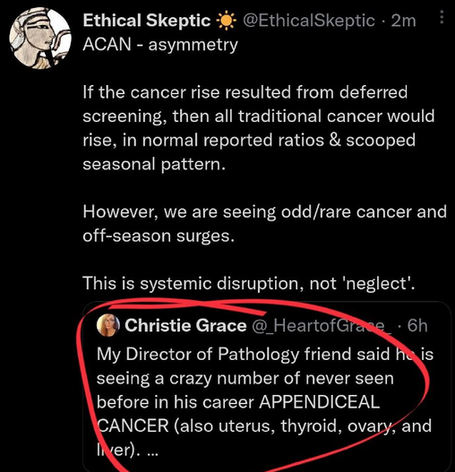 Screen Shot 2022-08-22 at 4.10.41 PM.png