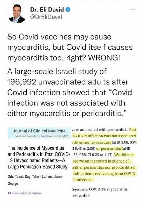 Screen Shot 2022-11-10 at 1.36.29 PM.png