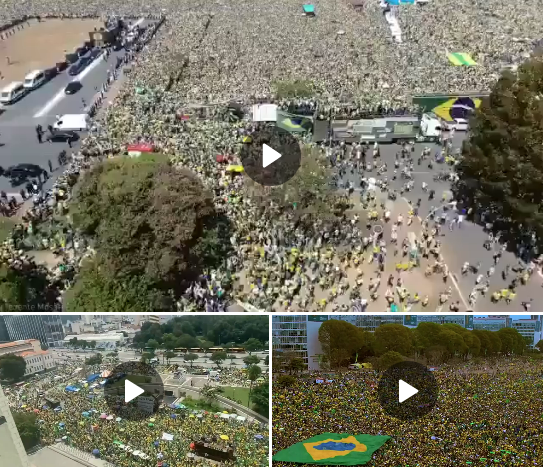 Screen Shot 2022-11-16 at 12.47.18 PM.png