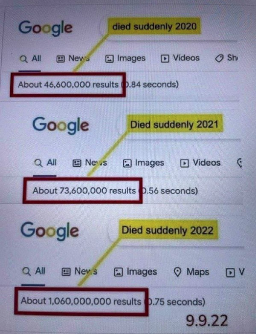 Screen Shot 2022-11-23 at 3.34.11 PM.png