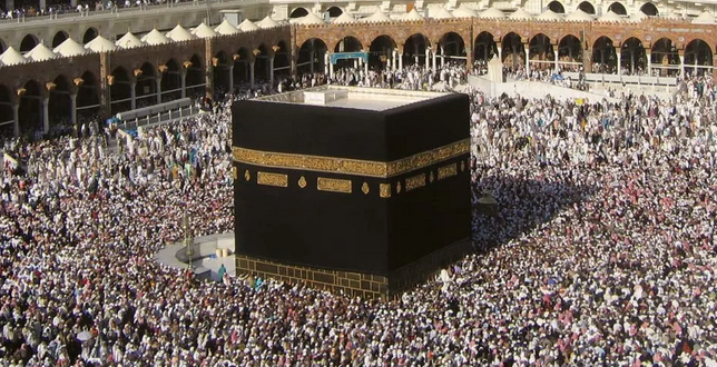 Screen Shot 2022-11-25 at 8.31.59 AM.png