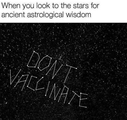 Screen Shot 2023-01-17 at 7.08.16 AM.png