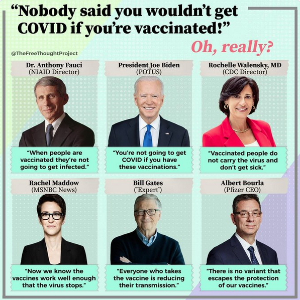 Screen Shot 2023-01-21 at 9.25.42 AM.png