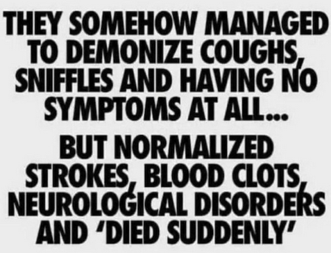 Screen Shot 2023-01-25 at 7.53.14 AM.png