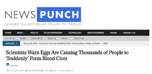 Screen Shot 2023-01-26 at 10.36.57 AM.png