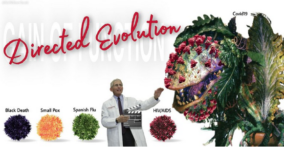 Screen Shot 2023-01-26 at 8.29.32 AM.png