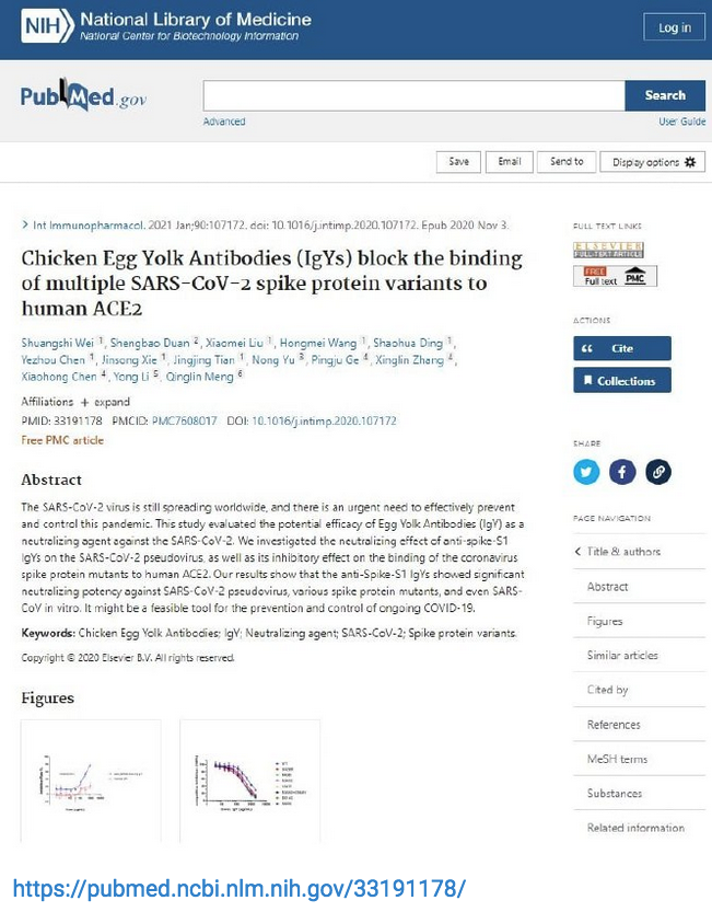 Screen Shot 2023-02-02 at 9.52.05 AM.png