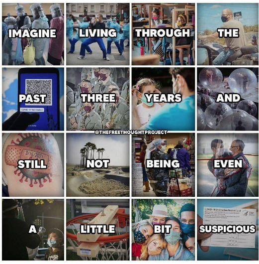 Screen Shot 2023-02-03 at 11.03.27 AM.png