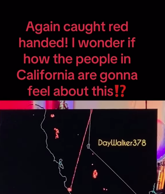 Screen Shot 2025-01-13 at 5.38.19 AM.png