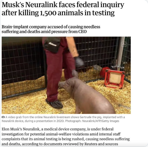 Screen Shot 2025-02-13 at 4.03.05 PM.png