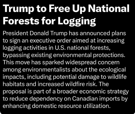 Screen Shot 2025-03-07 at 6.32.38 AM.png