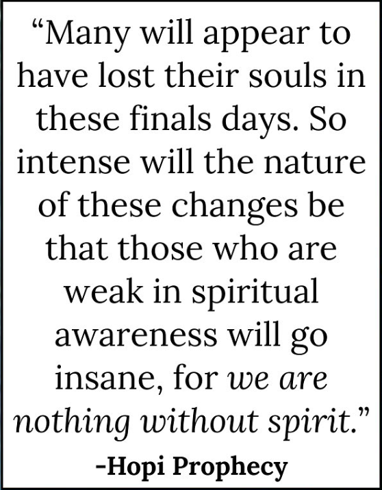 Screen Shot 2025-09-08 at 11.43.16 AM.png