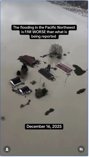 Screen Shot 2025-12-19 at 10.28.40 AM.png