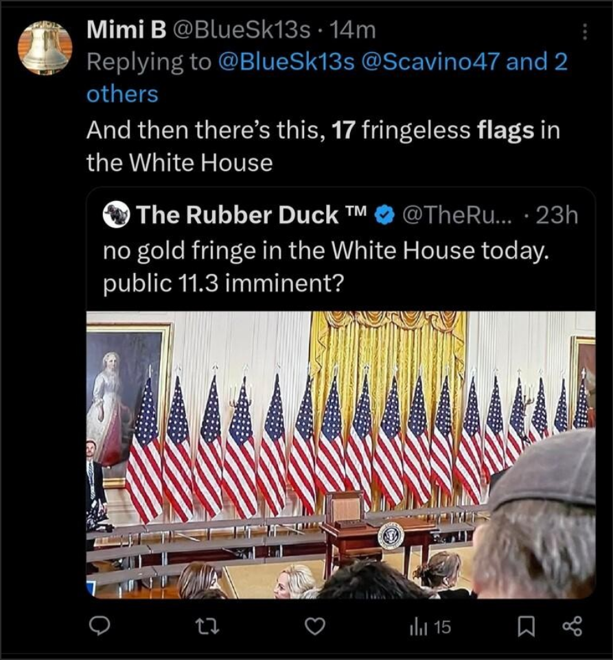 Screenshot 2025-02-06 at 23-54-11 And then there' 17 fringeless flags in the White House today...png