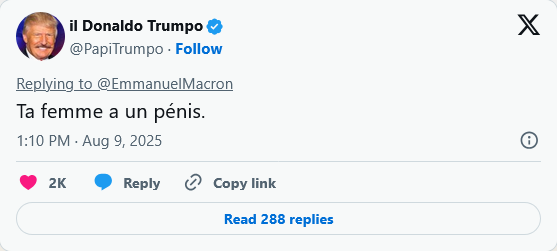 Screenshot 2025-08-09 at 17-09-07 Il Donaldo Trumpo Ta femme a un pénis - The Great Awakening ...png