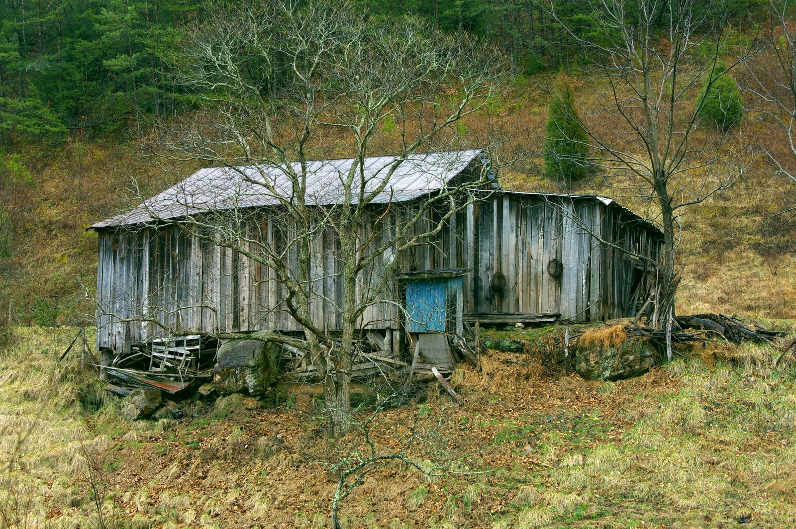 Shack_in_Pigeon_Forge,_TN_by_Zachary_Davies.jpg